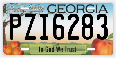 GA license plate PZI6283