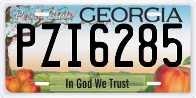 GA license plate PZI6285