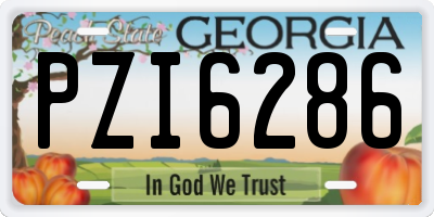 GA license plate PZI6286
