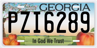 GA license plate PZI6289