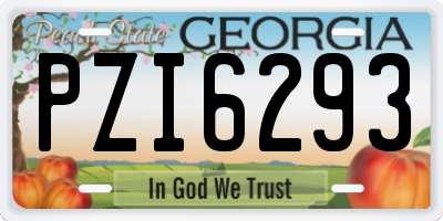GA license plate PZI6293