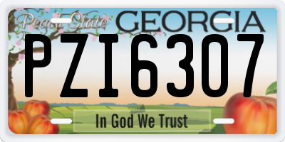 GA license plate PZI6307