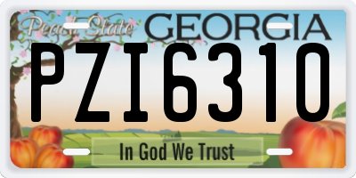 GA license plate PZI6310