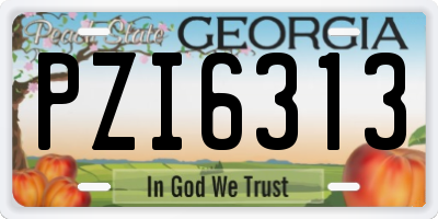 GA license plate PZI6313