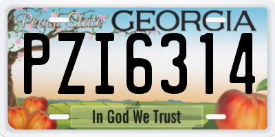 GA license plate PZI6314