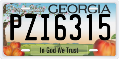 GA license plate PZI6315