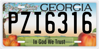 GA license plate PZI6316