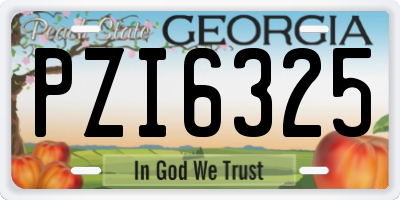 GA license plate PZI6325