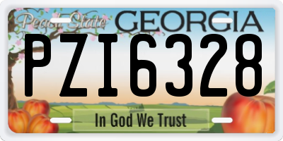 GA license plate PZI6328