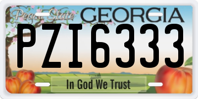 GA license plate PZI6333