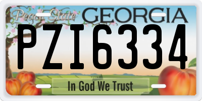 GA license plate PZI6334