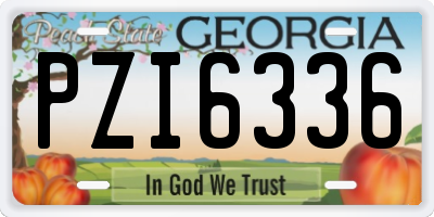 GA license plate PZI6336