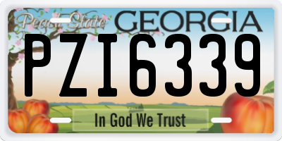 GA license plate PZI6339