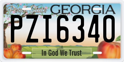 GA license plate PZI6340