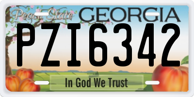 GA license plate PZI6342