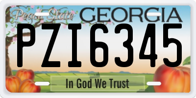 GA license plate PZI6345