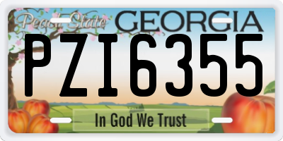 GA license plate PZI6355