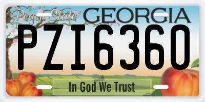GA license plate PZI6360