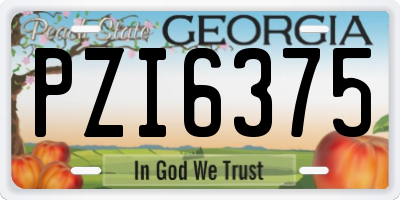 GA license plate PZI6375