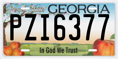 GA license plate PZI6377