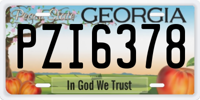GA license plate PZI6378