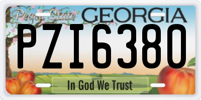 GA license plate PZI6380