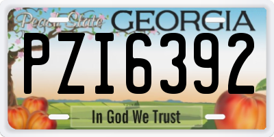 GA license plate PZI6392
