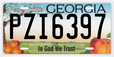 GA license plate PZI6397
