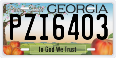 GA license plate PZI6403