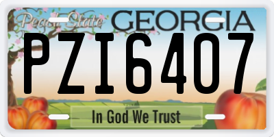 GA license plate PZI6407