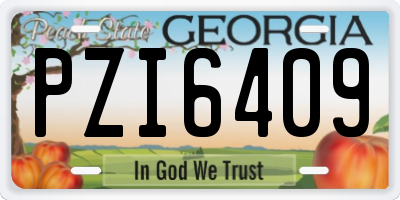 GA license plate PZI6409