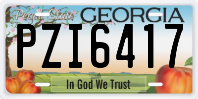 GA license plate PZI6417