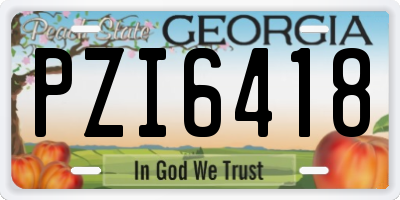 GA license plate PZI6418