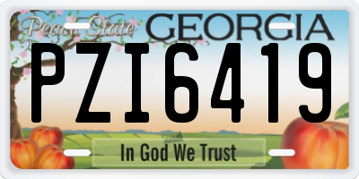 GA license plate PZI6419