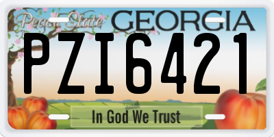 GA license plate PZI6421