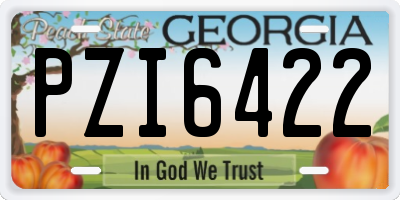 GA license plate PZI6422