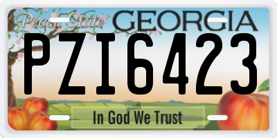 GA license plate PZI6423