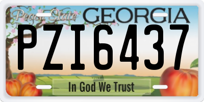 GA license plate PZI6437