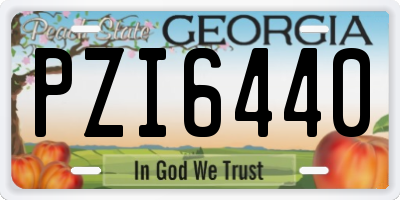 GA license plate PZI6440