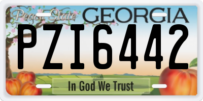 GA license plate PZI6442