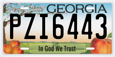 GA license plate PZI6443