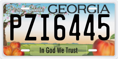 GA license plate PZI6445