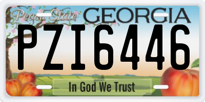 GA license plate PZI6446
