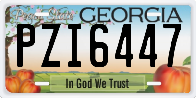 GA license plate PZI6447