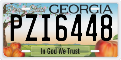 GA license plate PZI6448