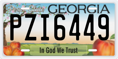 GA license plate PZI6449
