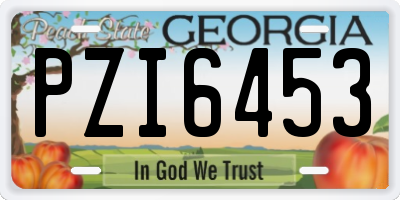 GA license plate PZI6453