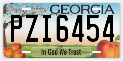 GA license plate PZI6454
