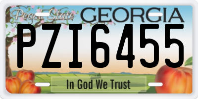 GA license plate PZI6455