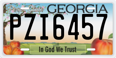 GA license plate PZI6457